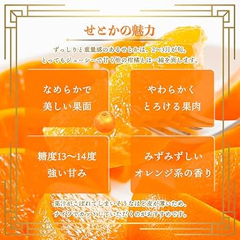 蜜柑商品です。 こだわり農家のお蜜柑屋本店 |
